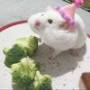 broccoli_n_bird